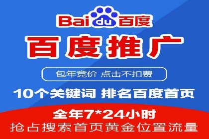 百度竞价推广运营策略：成功案例解析